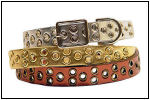 Collars and Leashes